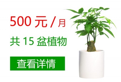 500元/月