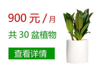 900元/月