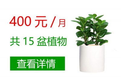 400元/月