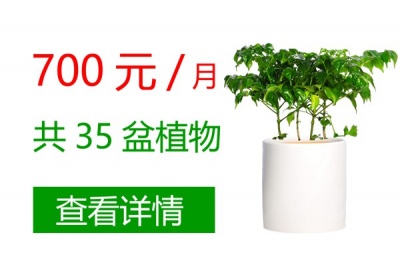 700元/月