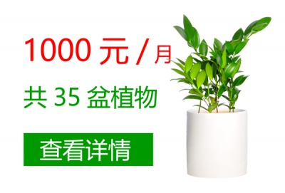 1000元/月