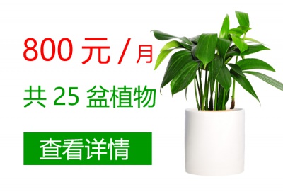 800元/月
