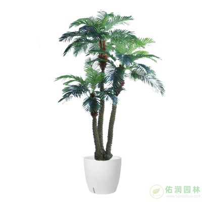 上海宣桥镇植物出租