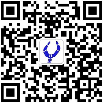 图片展示