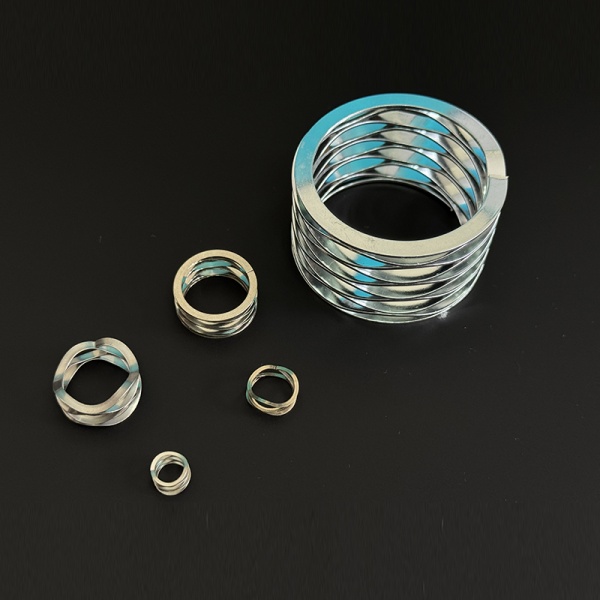 Corrosion Resistant Multi-Wave Spring