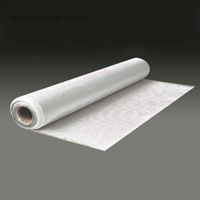 Fiberglass Woven Roving 200gr 300gr 500gr 600gr 1m-2m for Stone Block Coating/Wrapping/Envelope/Reinforcement