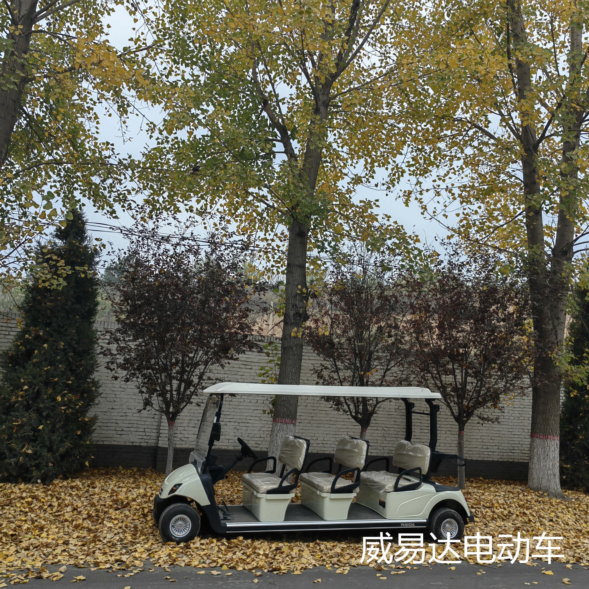 6座高尔夫球车