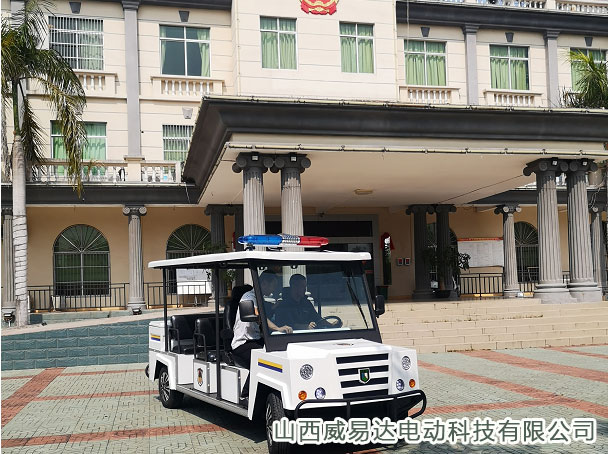 海南昌江叉河镇政府8座电动巡逻车