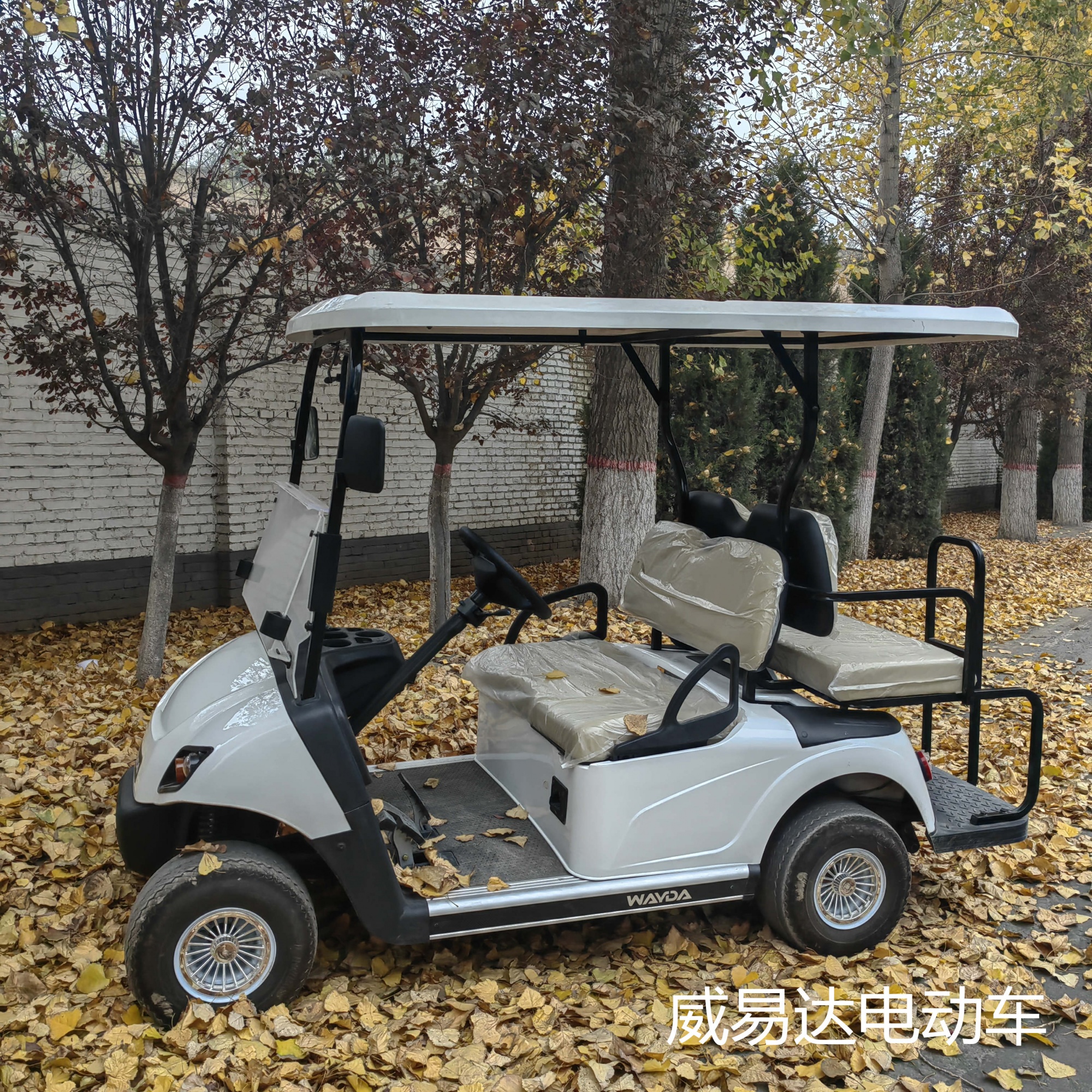 2+2座高尔夫球车