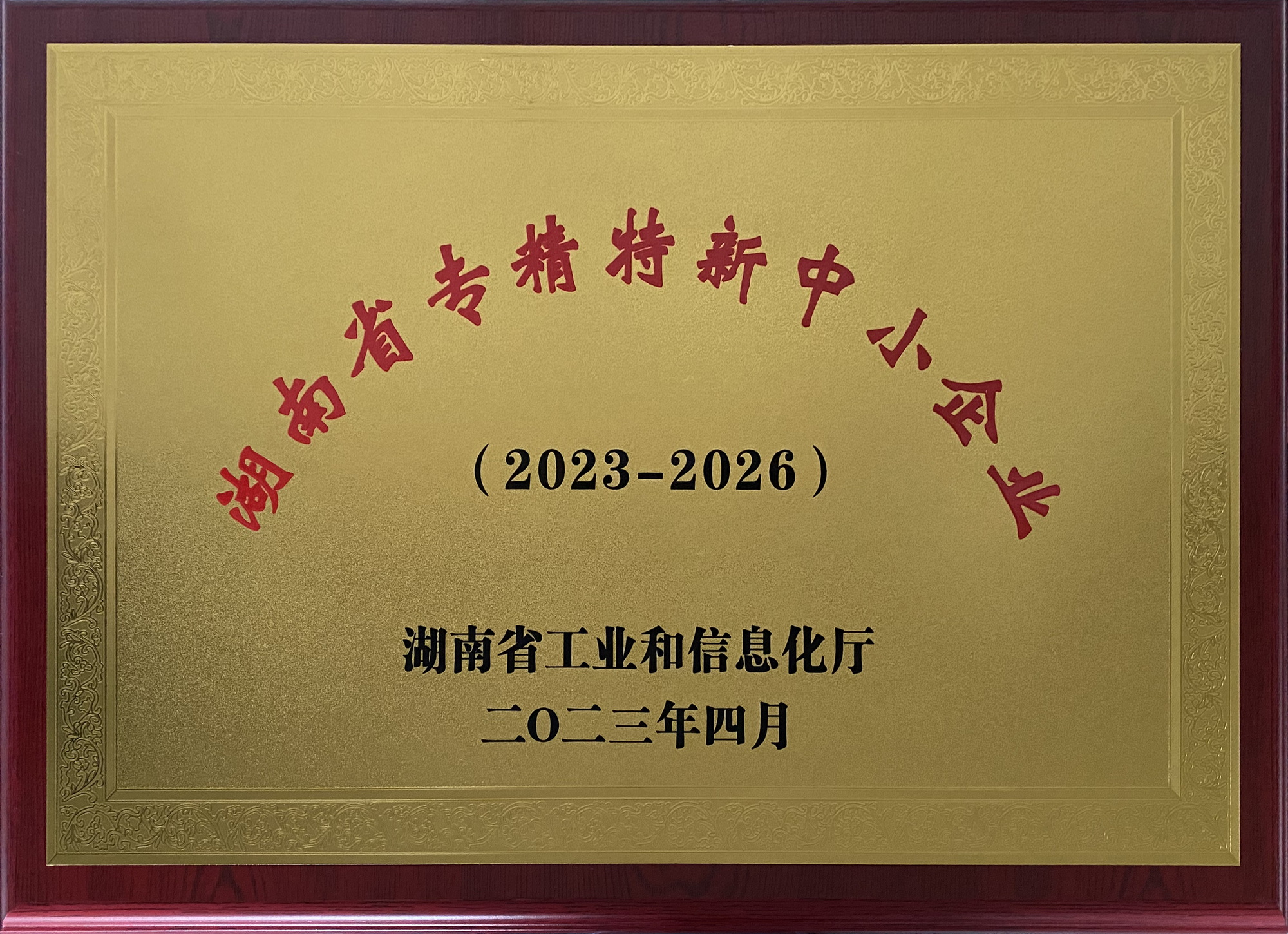 湖南省专精特新中小企业