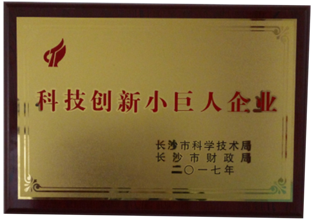 科技创新小巨人企业