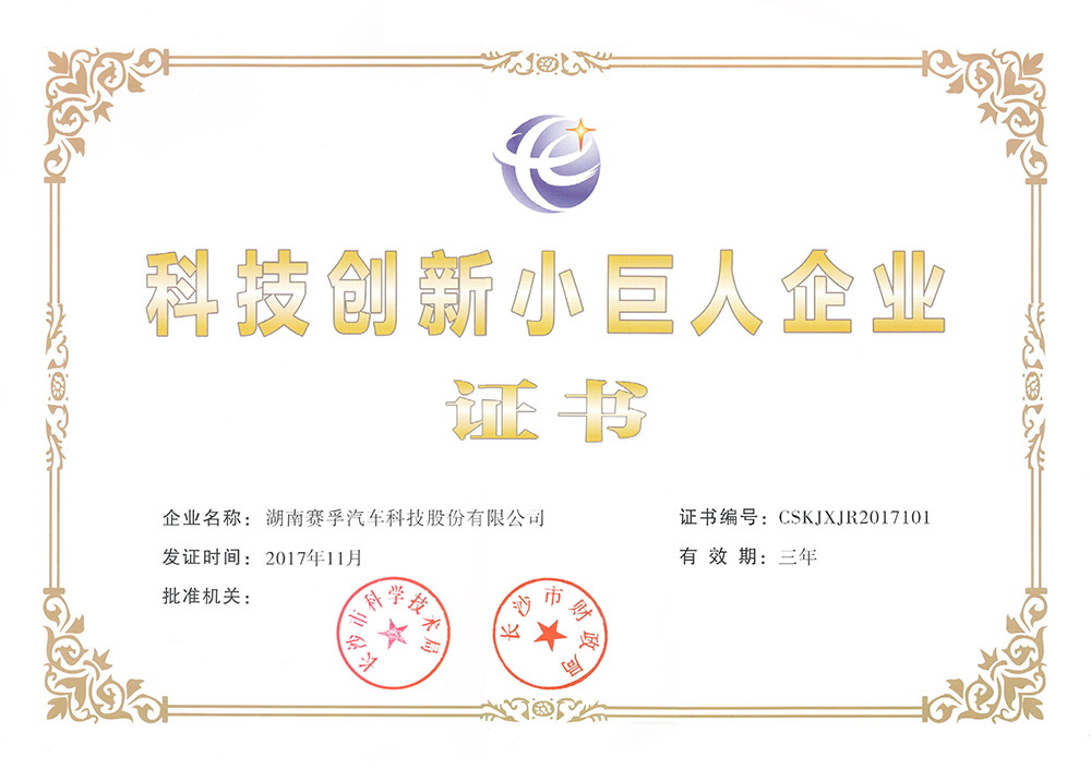 科技创新小巨人企业证书