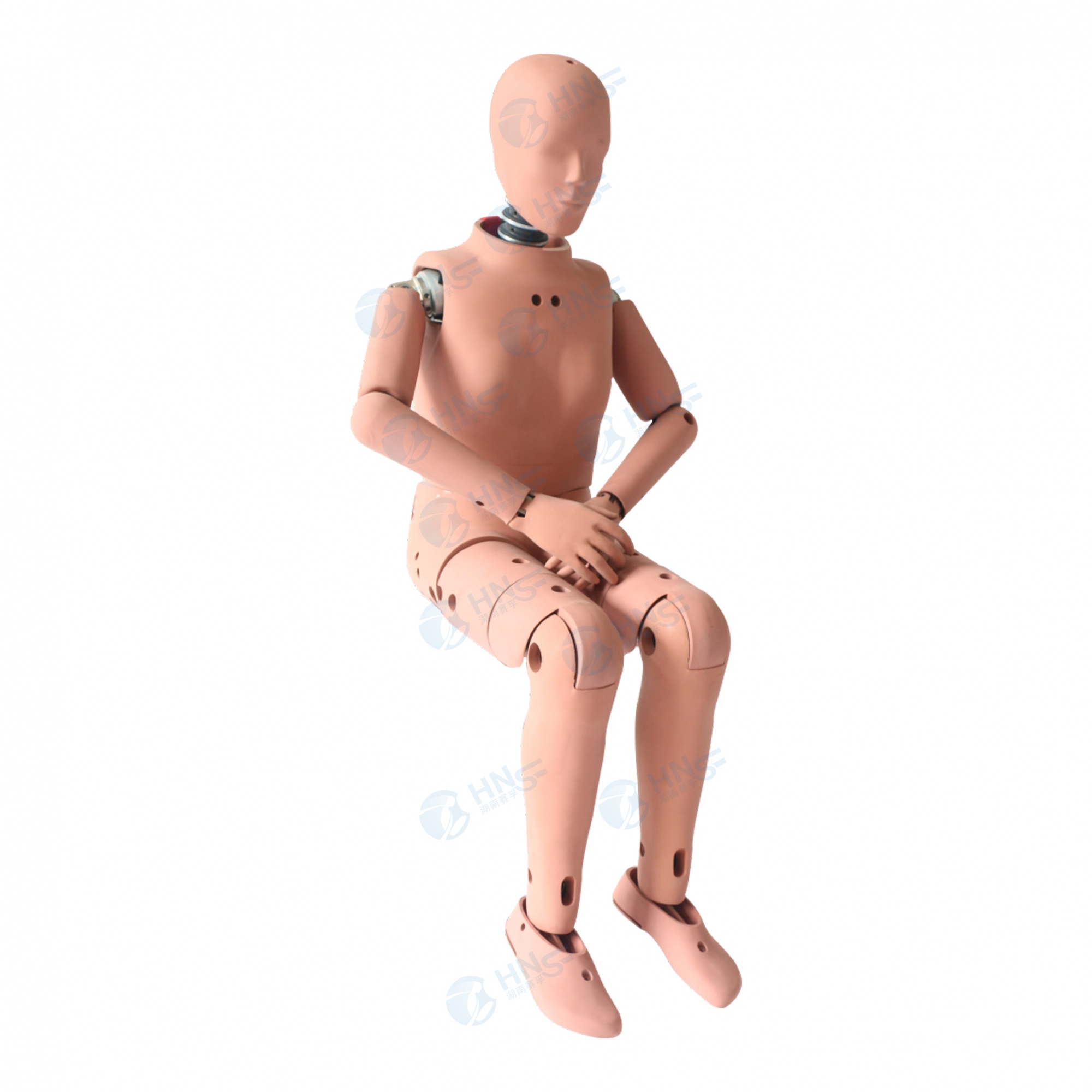 Hybrid Ⅲ 5百分位女性假人