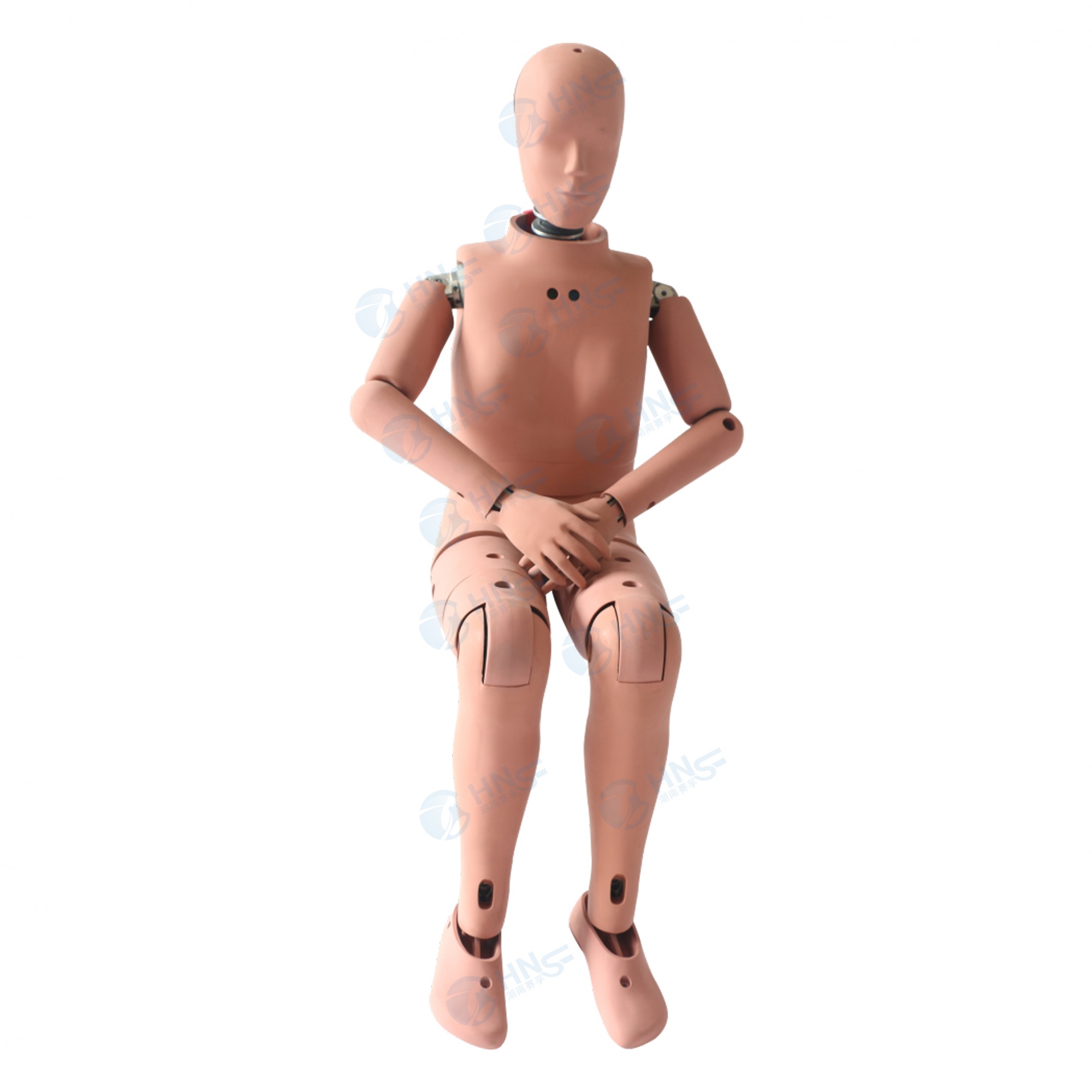 Hybrid Ⅲ 5百分位女性假人