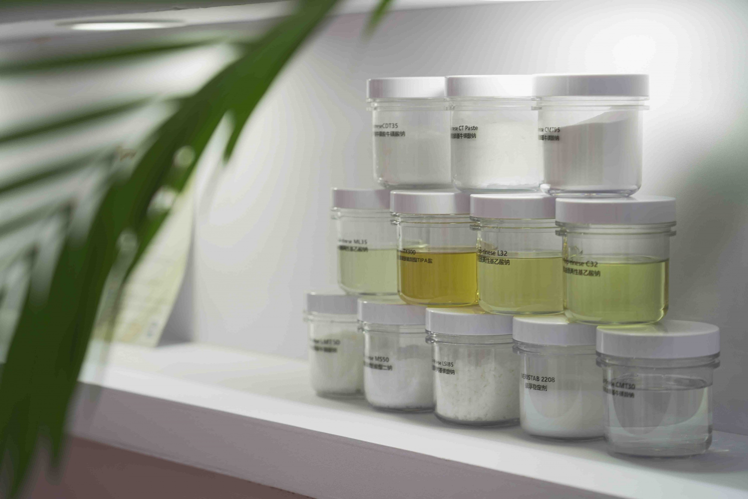 图片展示