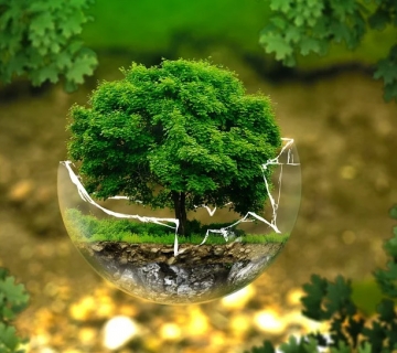 Environmental Impact Information Disclosure of Zhejiang Xingyi Wind Turbine Technical Renovation Project