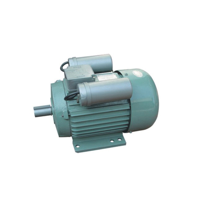 YL Motor