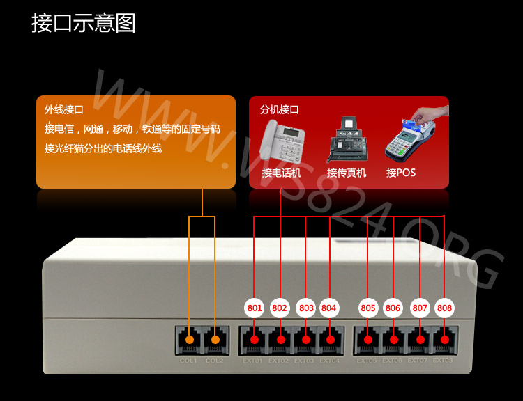 WS824-Q10/Q20