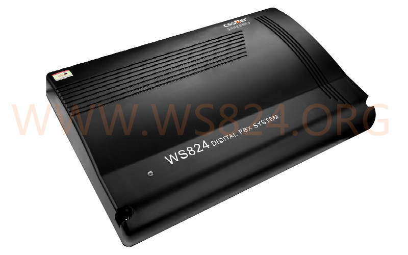 国威WS824-10DI