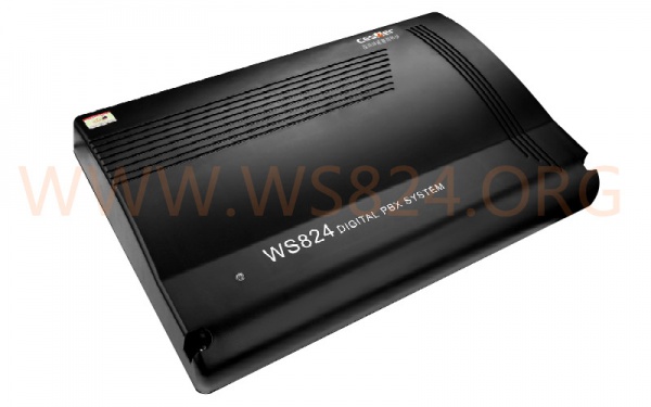 国威WS824-10DI