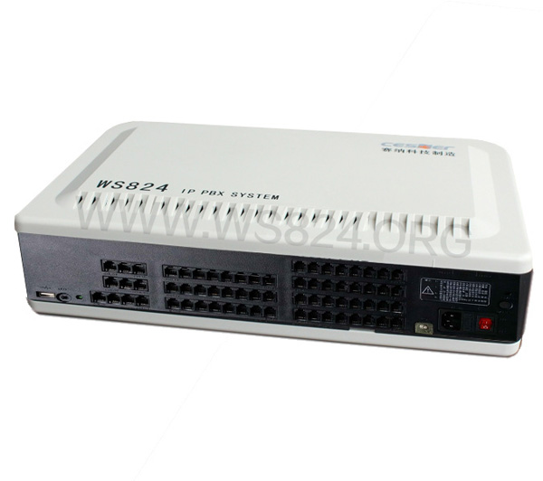 WS824（10）F