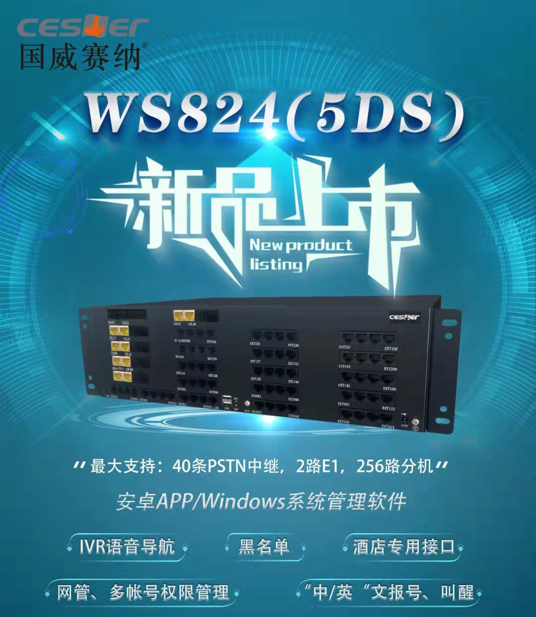 国威赛纳WS824（5DS）