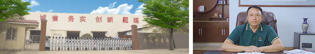 图片展示