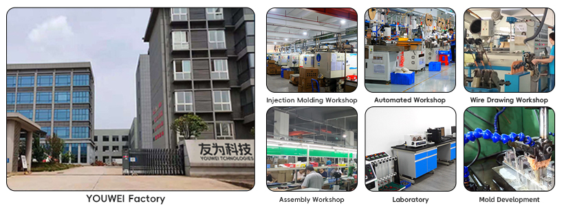 图片展示