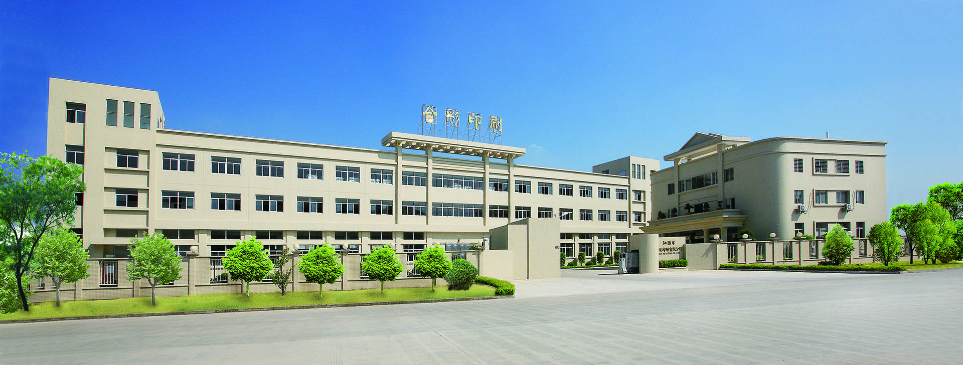 图片展示
