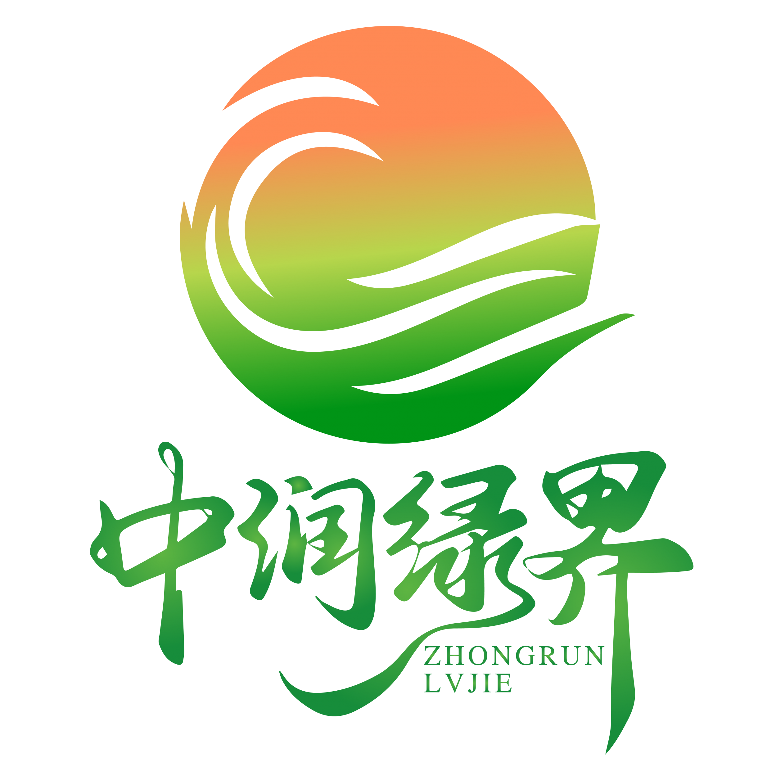 图片展示