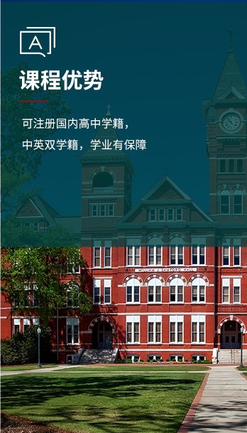 图片展示