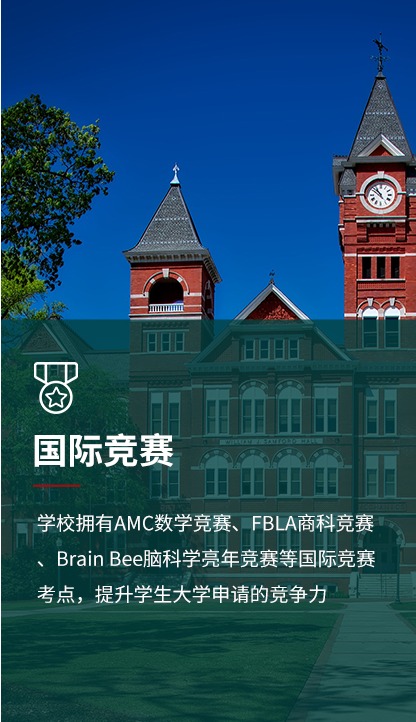 图片展示