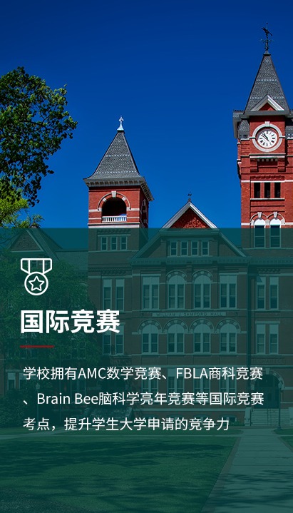 图片展示