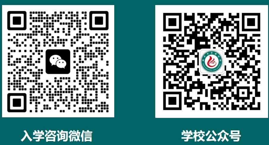 图片展示
