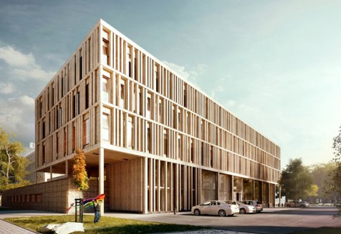 图片展示