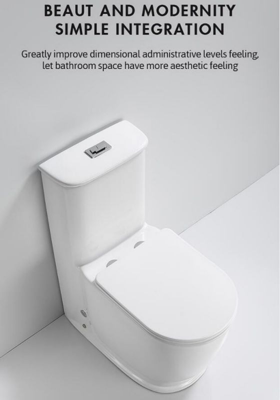 Hot Sale White Color Hotel Home Bathroom S-Trap Water Closet Toilets Cheap Ceramic Toilet Bowl