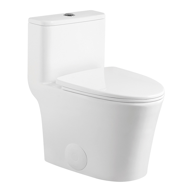 Cupc American Standard Toilet Bathroom Ceramic One-Piece Toilet Elongated Toilet with Soft-Close Toilet Seat