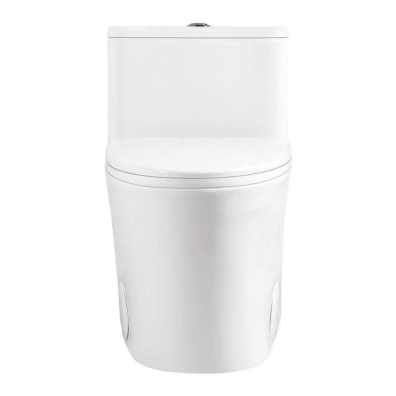 Cupc American Standard Toilet Bathroom Ceramic One-Piece Toilet Elongated Toilet with Soft-Close Toilet Seat