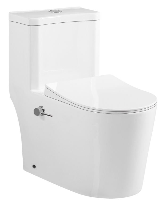High Quality Ceramica Glossy Wc Mounted One Piece Closet Luxury Wall Hung Toilet
