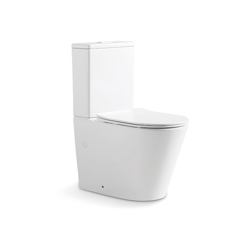Hot Model CE Ceramic Washdown P Trap 2 Piece Toilet