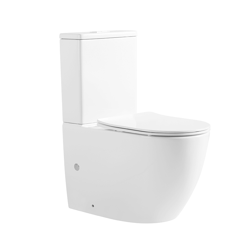 Hot Model CE Ceramic Washdown P Trap 2 Piece Toilet