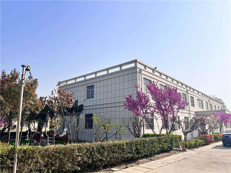 图片展示