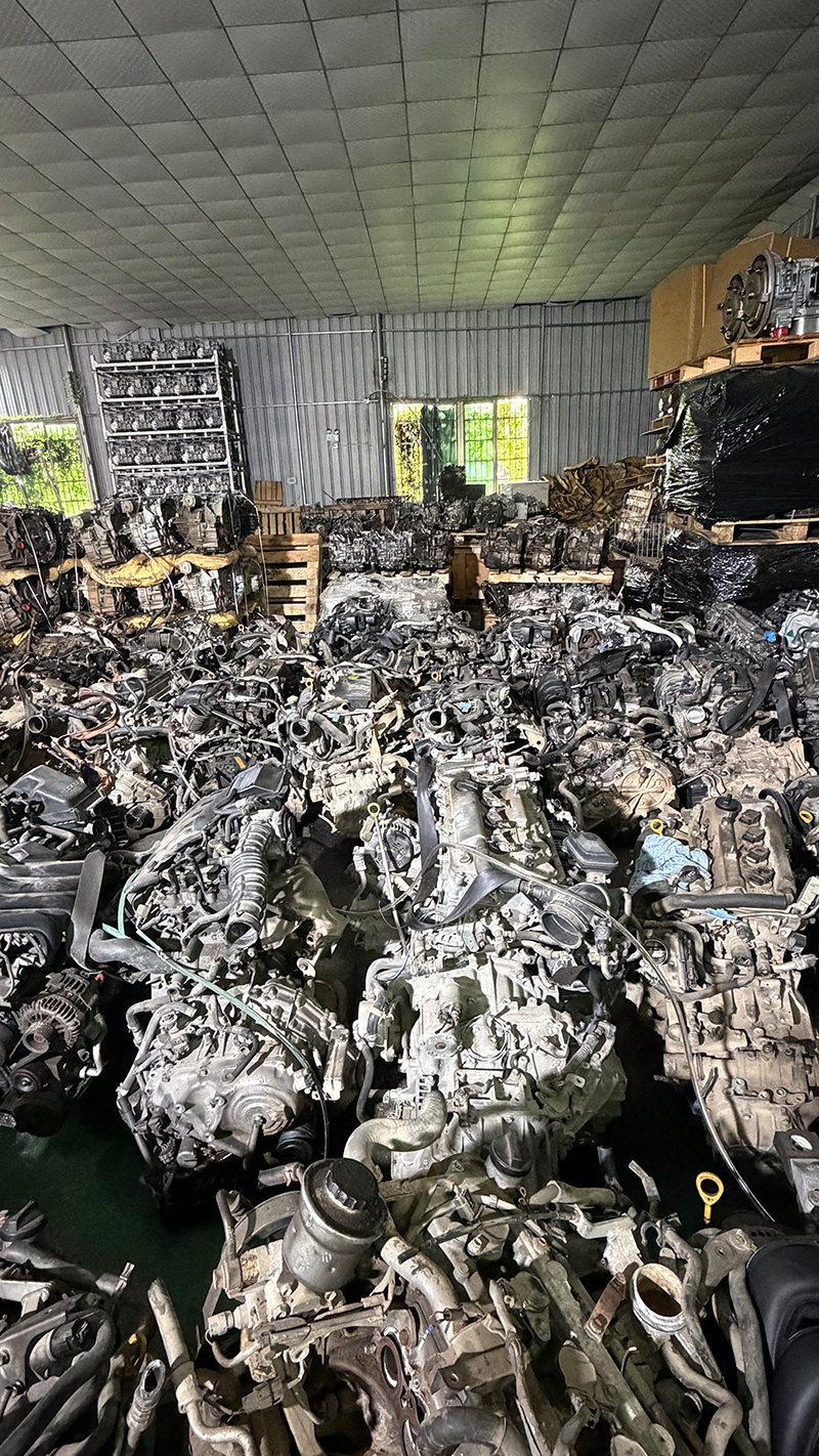 图片展示