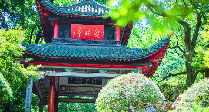 春天旅游租大巴车全攻略：省心省力玩转春日好时光