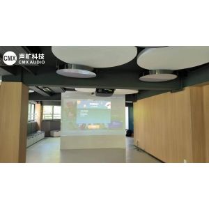 Wuhan Jiangxia Intelligent Conference Room, Creating a High Quality Audio Video Multifunctional Conference Comprehensive Experience