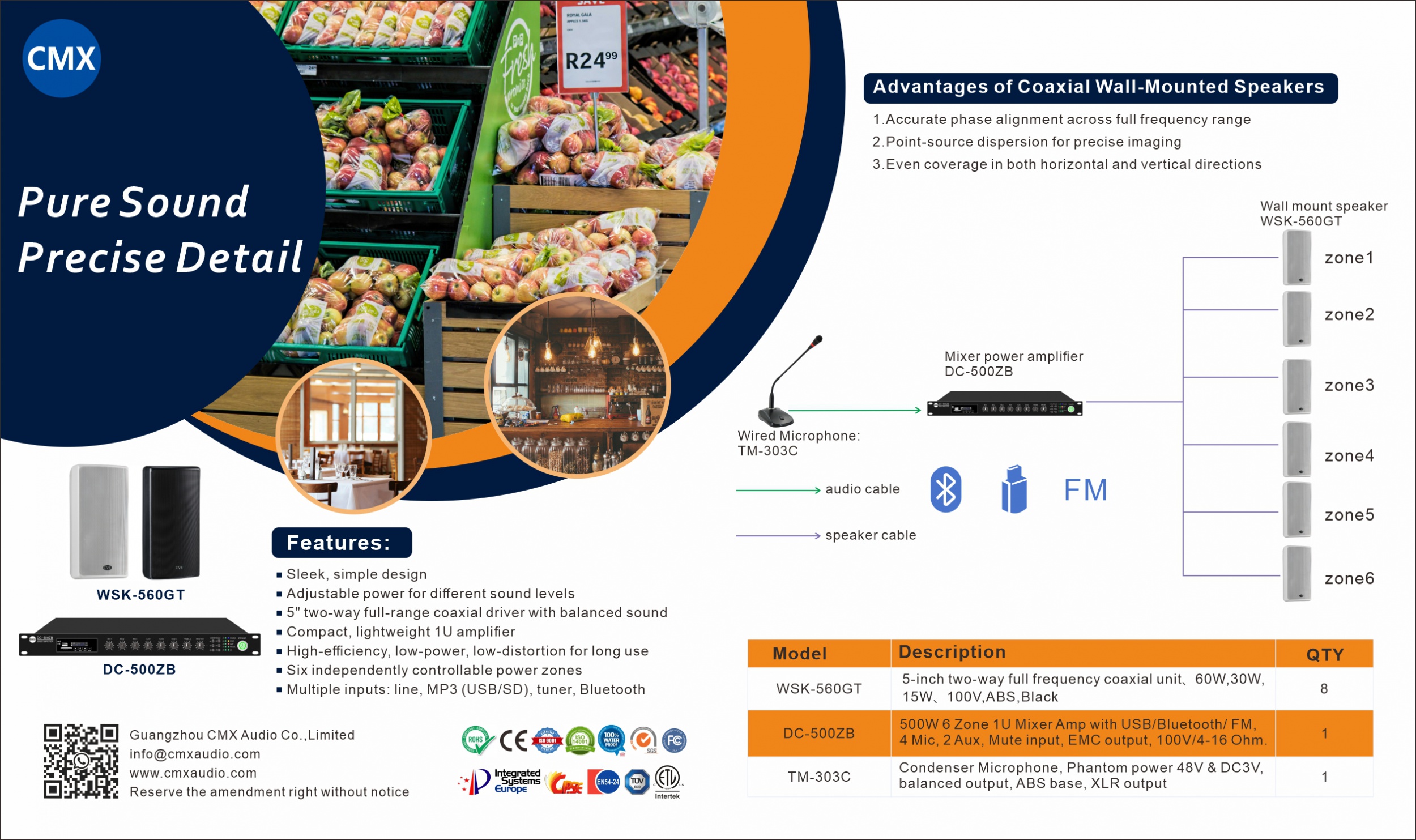 6-Zone Background Music System for Restaurants