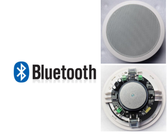 Wireless Bluetooth Speaker (Active + Passive)  BT51C