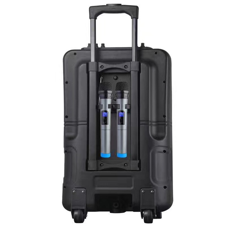 Portable Trolley Speakers with Wireless Microphone and LCD Display TS10A
