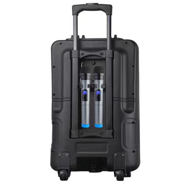Portable Trolley Speakers with Wireless Microphone and LCD Display TS10A