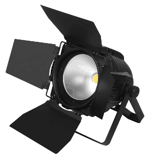 Two-in-One COB Par Light HY-P083D/2